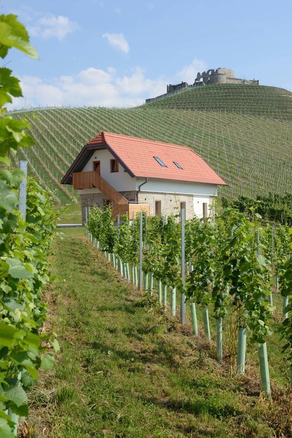 Weingut Taggenbrunn Ξενοδοχείο Sankt Veit an der Glan Εξωτερικό φωτογραφία