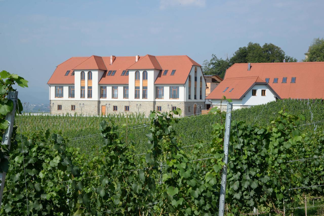 Weingut Taggenbrunn Ξενοδοχείο Sankt Veit an der Glan Εξωτερικό φωτογραφία