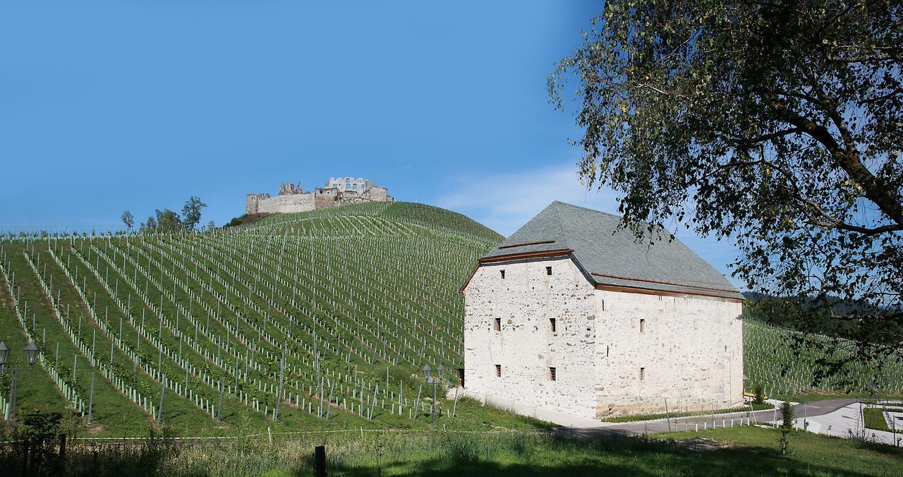 Weingut Taggenbrunn Ξενοδοχείο Sankt Veit an der Glan Εξωτερικό φωτογραφία