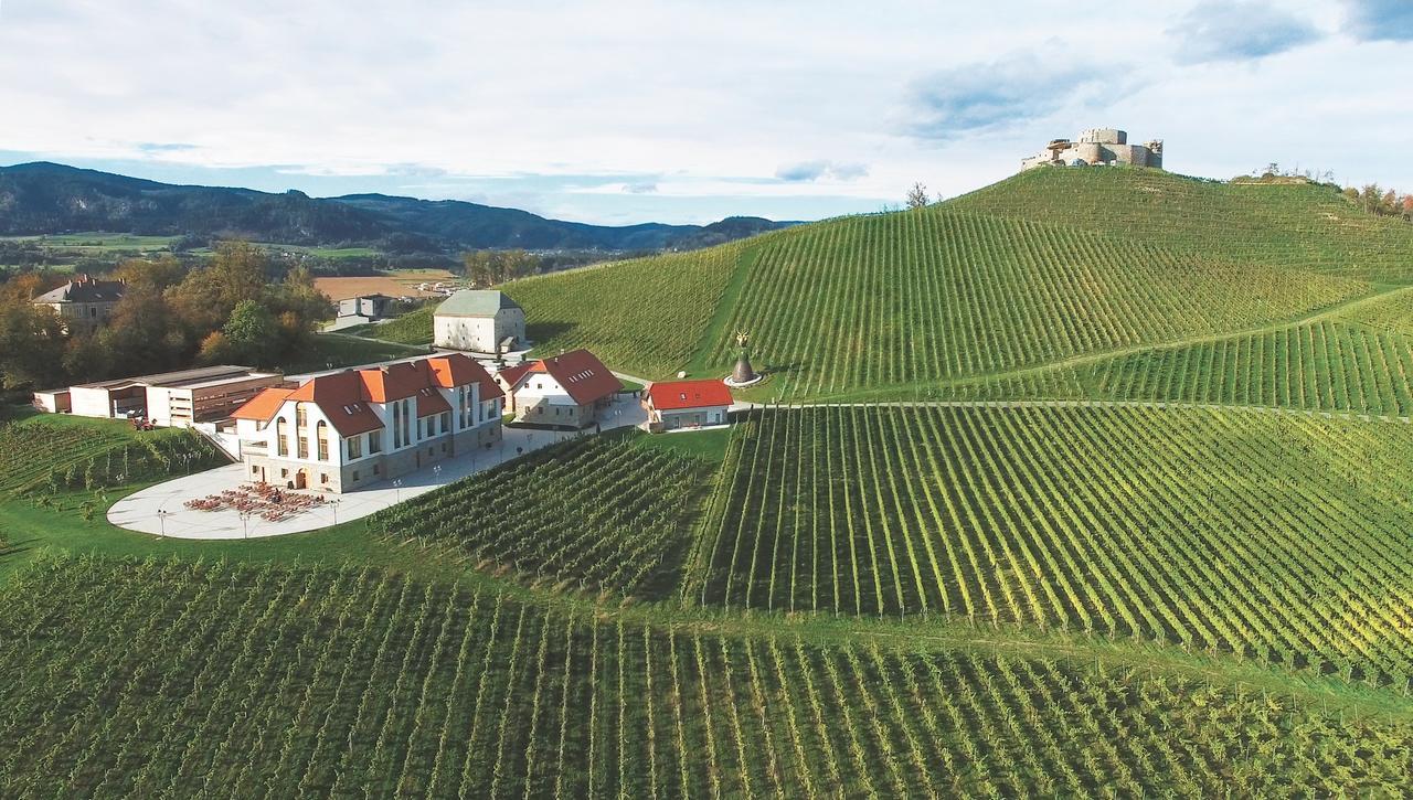 Weingut Taggenbrunn Ξενοδοχείο Sankt Veit an der Glan Εξωτερικό φωτογραφία